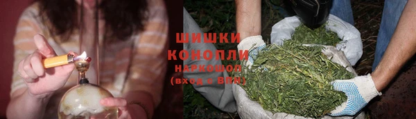ГАЛЛЮЦИНОГЕННЫЕ ГРИБЫ Володарск