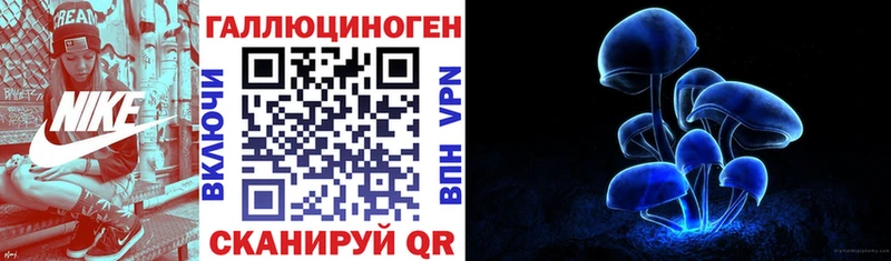 KRAKEN   Дзержинск  Псилоцибиновые грибы Psilocybe 
